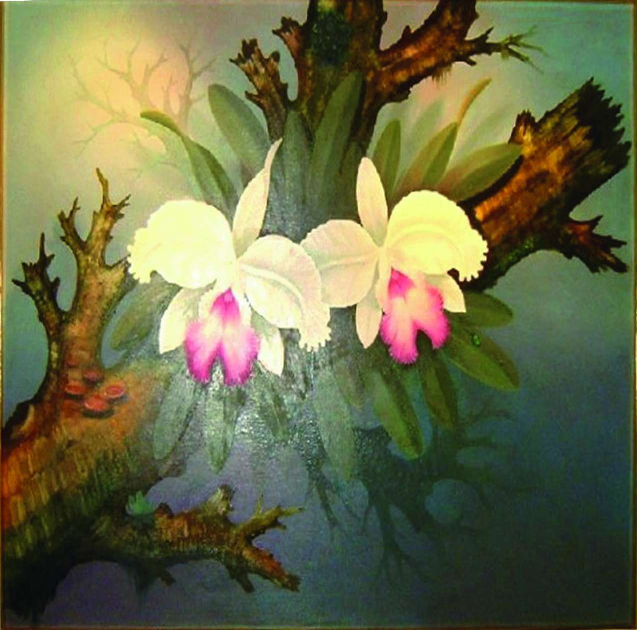 CATTLEYA