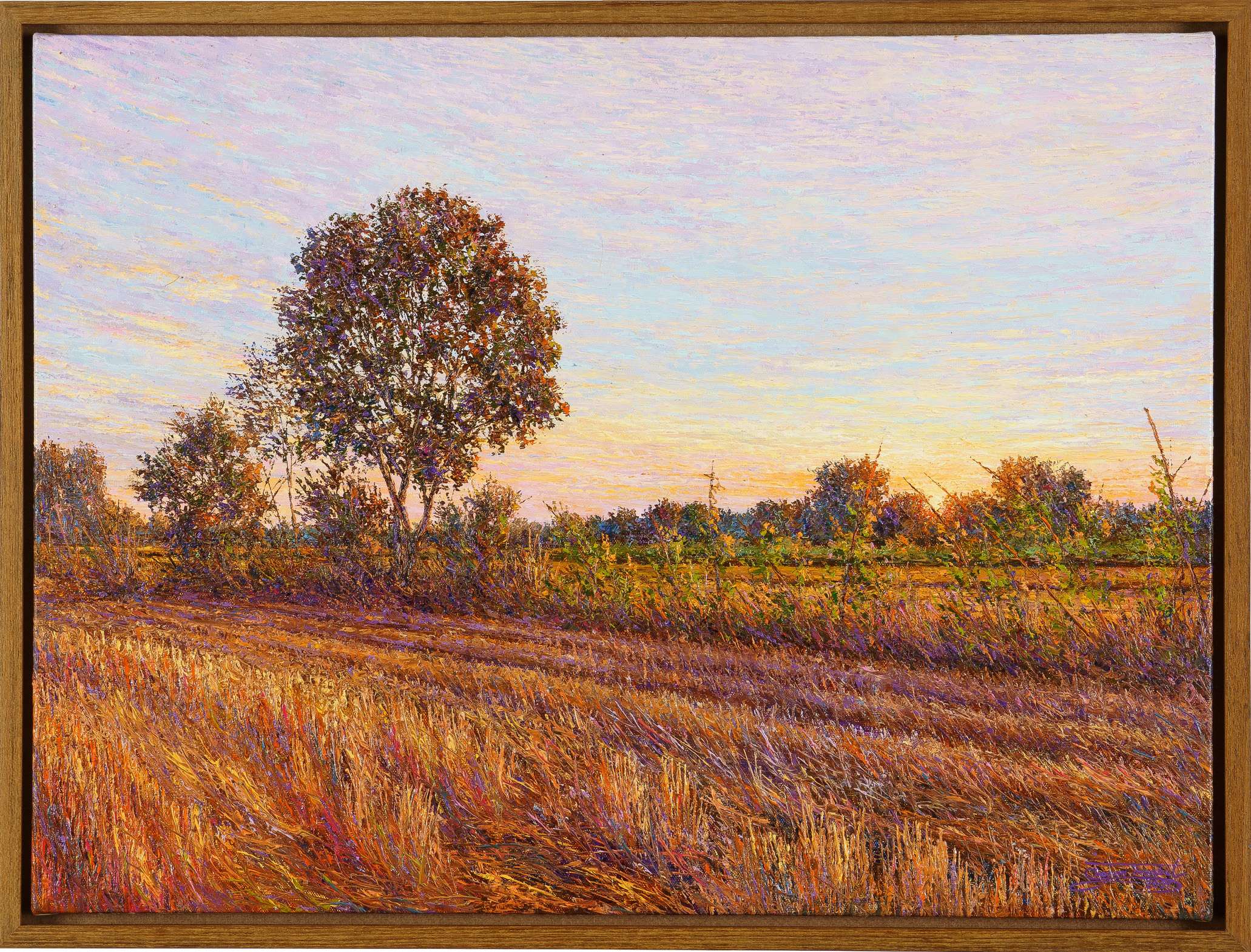 อัสดงของฤดูกาล 2564