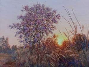 เสลางามยามแลง