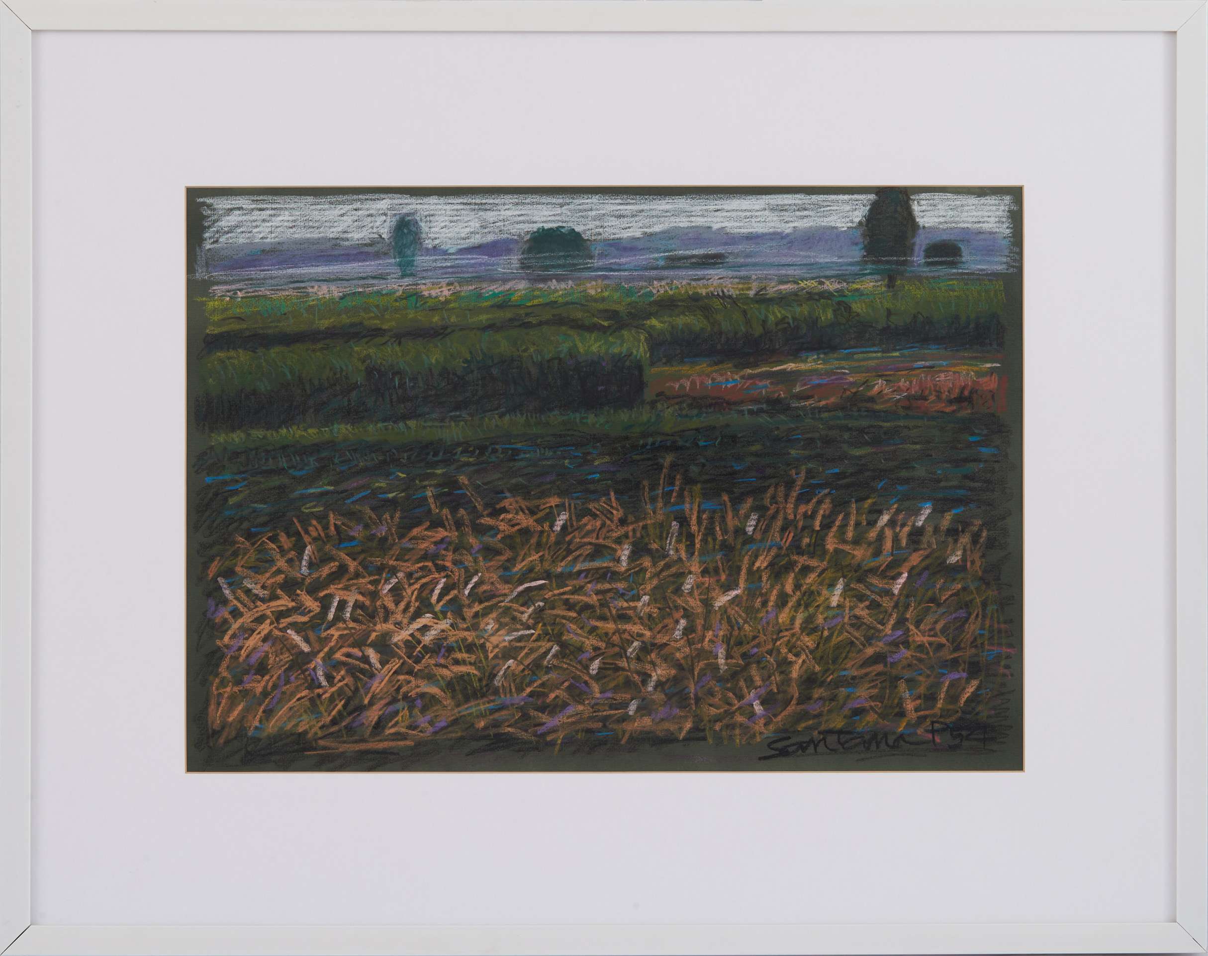 ดอกหญ้าและไร่อ้อย ชัยนาท