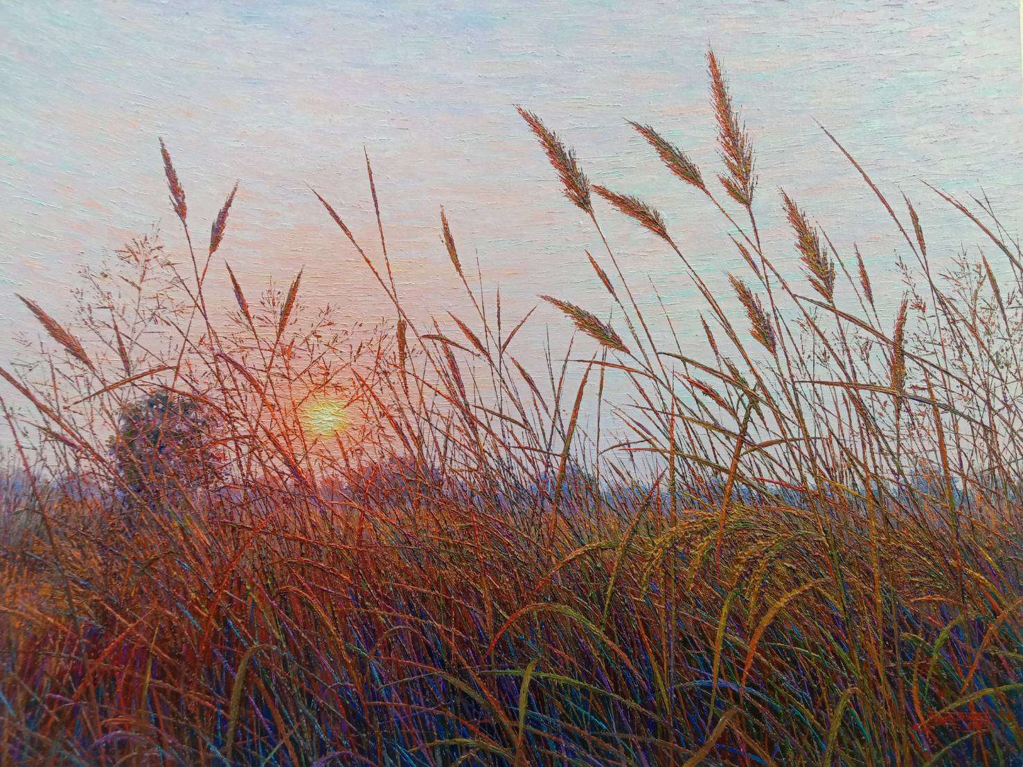 แสงอัสดงที่ทุ่งนาข้าวนก